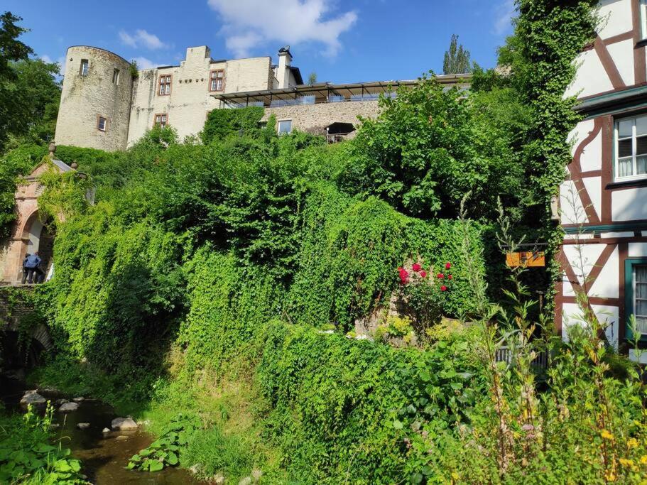 Das Hideaway Zum Seele Baumeln Lassen ! Bad Munstereifel Bagian luar foto
