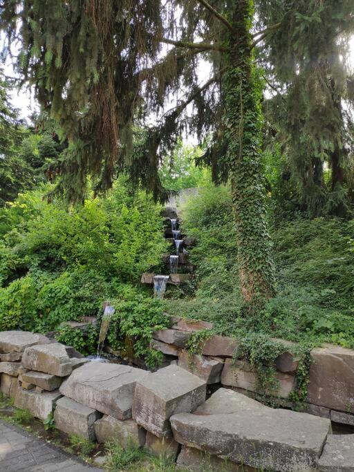 Das Hideaway Zum Seele Baumeln Lassen ! Bad Munstereifel Bagian luar foto