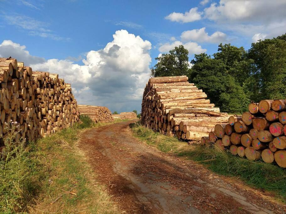 Das Hideaway Zum Seele Baumeln Lassen ! Bad Munstereifel Bagian luar foto